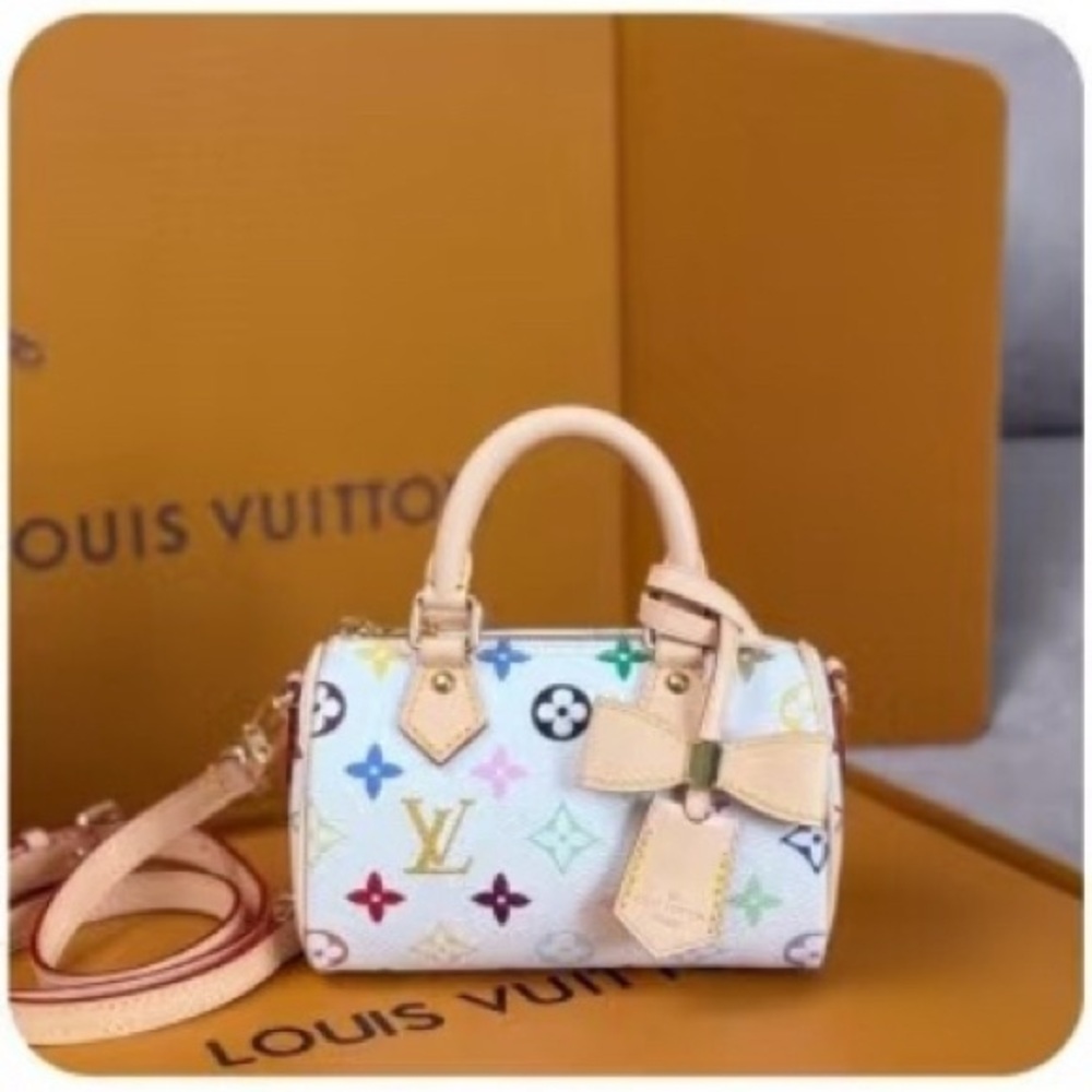 COPY - Louis Vuitton Multicolor Handbag